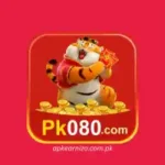 PK080 Game