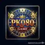 PK080 Game